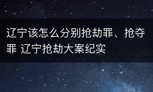 辽宁该怎么分别抢劫罪、抢夺罪 辽宁抢劫大案纪实