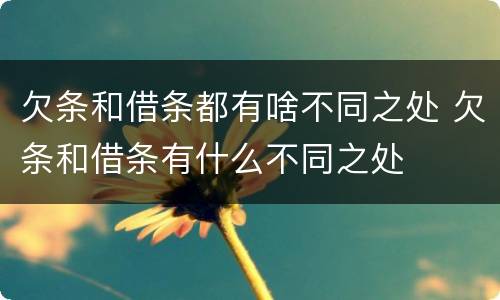 欠条和借条都有啥不同之处 欠条和借条有什么不同之处