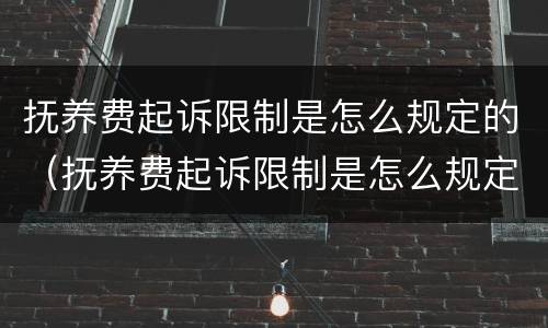 抚养费起诉限制是怎么规定的（抚养费起诉限制是怎么规定的呢）