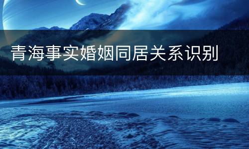 青海事实婚姻同居关系识别