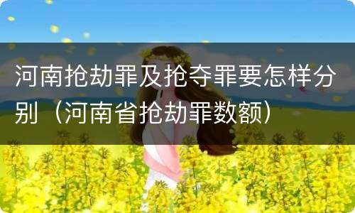 河南抢劫罪及抢夺罪要怎样分别（河南省抢劫罪数额）