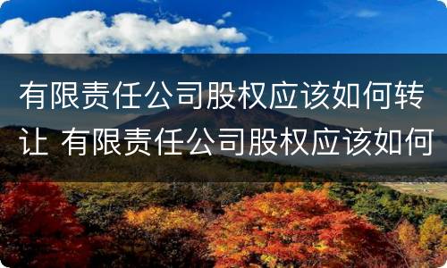 有限责任公司股权应该如何转让 有限责任公司股权应该如何转让给股东