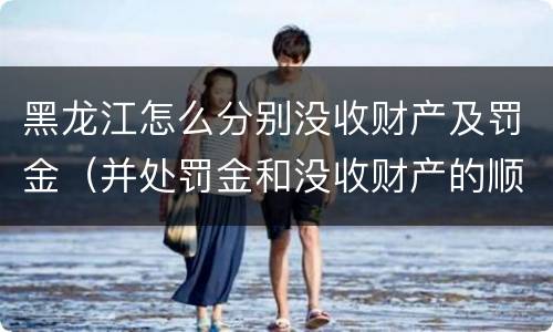 黑龙江怎么分别没收财产及罚金（并处罚金和没收财产的顺序）