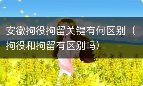 安徽拘役拘留关键有何区别（拘役和拘留有区别吗）