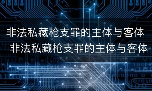非法私藏枪支罪的主体与客体 非法私藏枪支罪的主体与客体区别