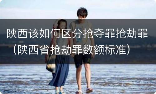 陕西该如何区分抢夺罪抢劫罪（陕西省抢劫罪数额标准）