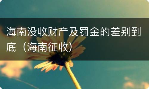 海南没收财产及罚金的差别到底（海南征收）