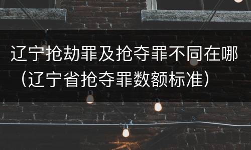 辽宁抢劫罪及抢夺罪不同在哪（辽宁省抢夺罪数额标准）