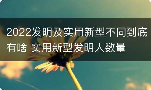 2022发明及实用新型不同到底有啥 实用新型发明人数量