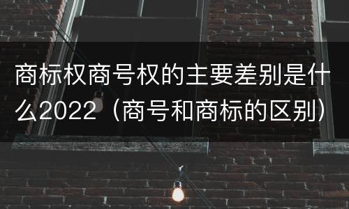 商标权商号权的主要差别是什么2022（商号和商标的区别）