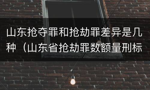 山东抢夺罪和抢劫罪差异是几种（山东省抢劫罪数额量刑标准）