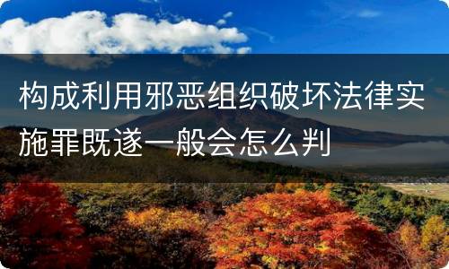 构成利用邪恶组织破坏法律实施罪既遂一般会怎么判
