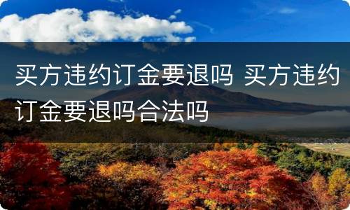 买方违约订金要退吗 买方违约订金要退吗合法吗