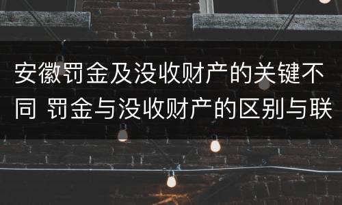 安徽罚金及没收财产的关键不同 罚金与没收财产的区别与联系