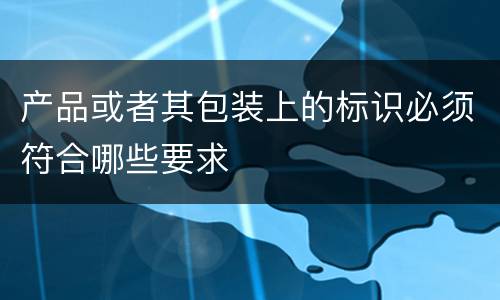 产品或者其包装上的标识必须符合哪些要求