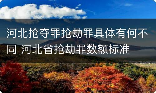 河北抢夺罪抢劫罪具体有何不同 河北省抢劫罪数额标准