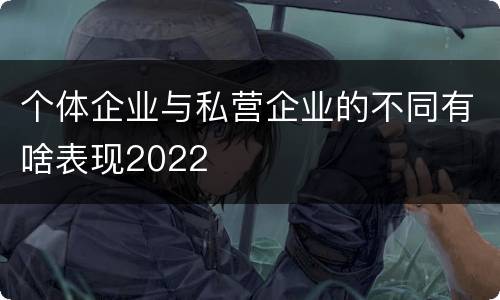 个体企业与私营企业的不同有啥表现2022