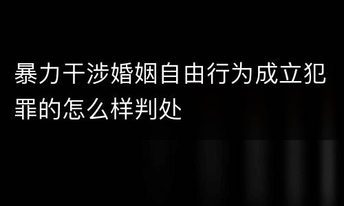 暴力干涉婚姻自由行为成立犯罪的怎么样判处