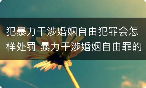 犯暴力干涉婚姻自由犯罪会怎样处罚 暴力干涉婚姻自由罪的构成要件