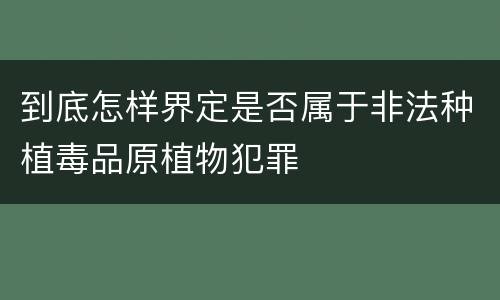 到底怎样界定是否属于非法种植毒品原植物犯罪