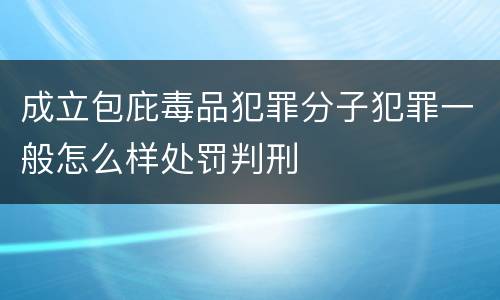 成立包庇毒品犯罪分子犯罪一般怎么样处罚判刑