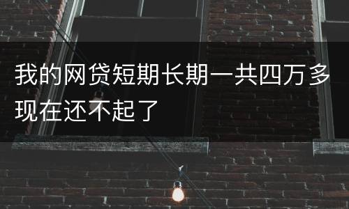 我的网贷短期长期一共四万多现在还不起了