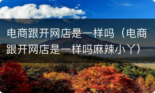 电商跟开网店是一样吗（电商跟开网店是一样吗麻辣小丫）