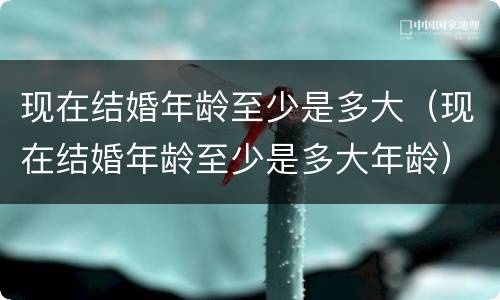 现在结婚年龄至少是多大（现在结婚年龄至少是多大年龄）