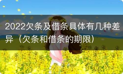 2022欠条及借条具体有几种差异（欠条和借条的期限）