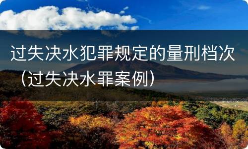 过失决水犯罪规定的量刑档次（过失决水罪案例）