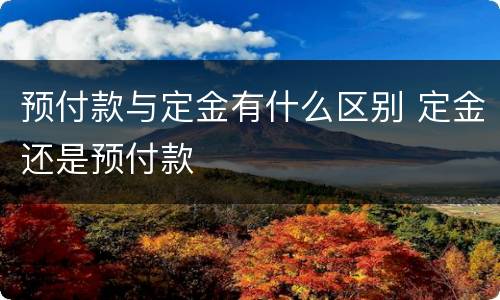 预付款与定金有什么区别 定金还是预付款