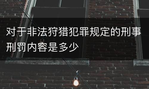 对于非法狩猎犯罪规定的刑事刑罚内容是多少