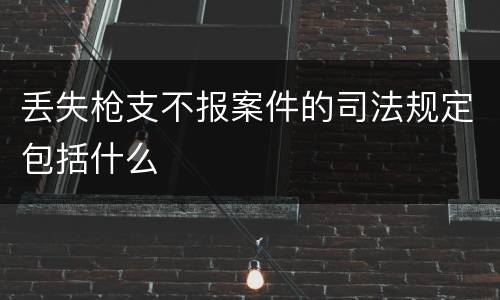 丢失枪支不报案件的司法规定包括什么