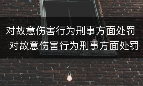 对故意伤害行为刑事方面处罚 对故意伤害行为刑事方面处罚有哪些