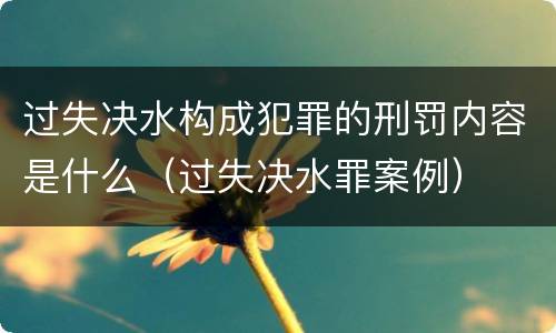 过失决水构成犯罪的刑罚内容是什么（过失决水罪案例）