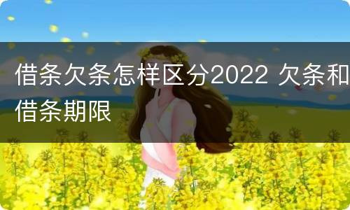 借条欠条怎样区分2022 欠条和借条期限