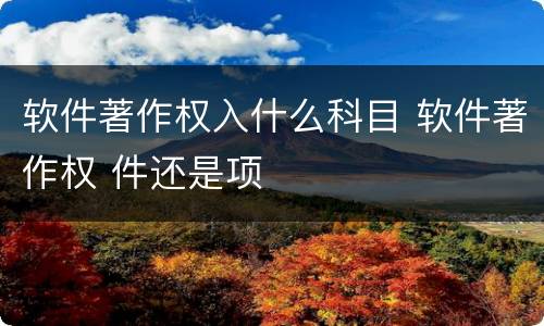 软件著作权入什么科目 软件著作权 件还是项