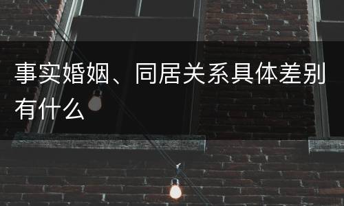 事实婚姻、同居关系具体差别有什么