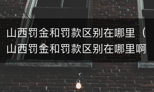 山西罚金和罚款区别在哪里（山西罚金和罚款区别在哪里啊）
