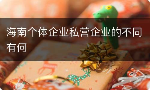 海南个体企业私营企业的不同有何