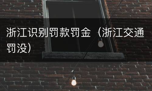 浙江识别罚款罚金（浙江交通罚没）