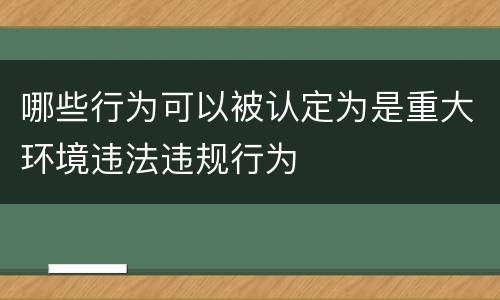 哪些行为可以被认定为是重大环境违法违规行为