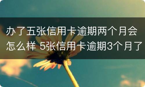 办了五张信用卡逾期两个月会怎么样 5张信用卡逾期3个月了怎么办