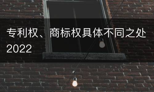 专利权、商标权具体不同之处2022