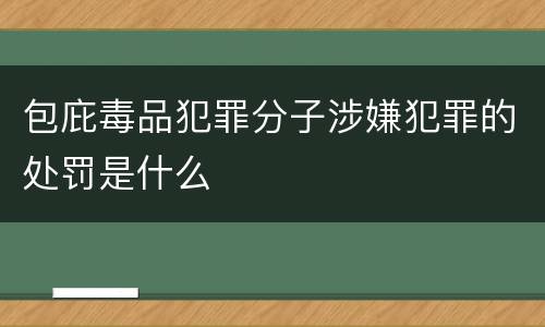 包庇毒品犯罪分子涉嫌犯罪的处罚是什么