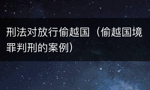 刑法对放行偷越国（偷越国境罪判刑的案例）
