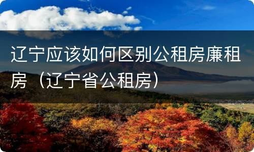辽宁应该如何区别公租房廉租房(辽宁省公租房)