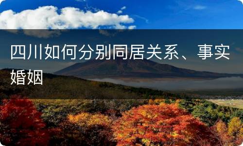 四川如何分别同居关系、事实婚姻
