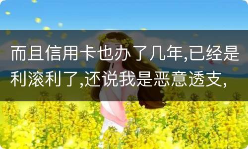 而且信用卡也办了几年,已经是利滚利了,还说我是恶意透支,我该怎么办