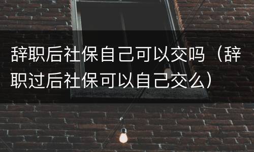辞职后社保自己可以交吗（辞职过后社保可以自己交么）